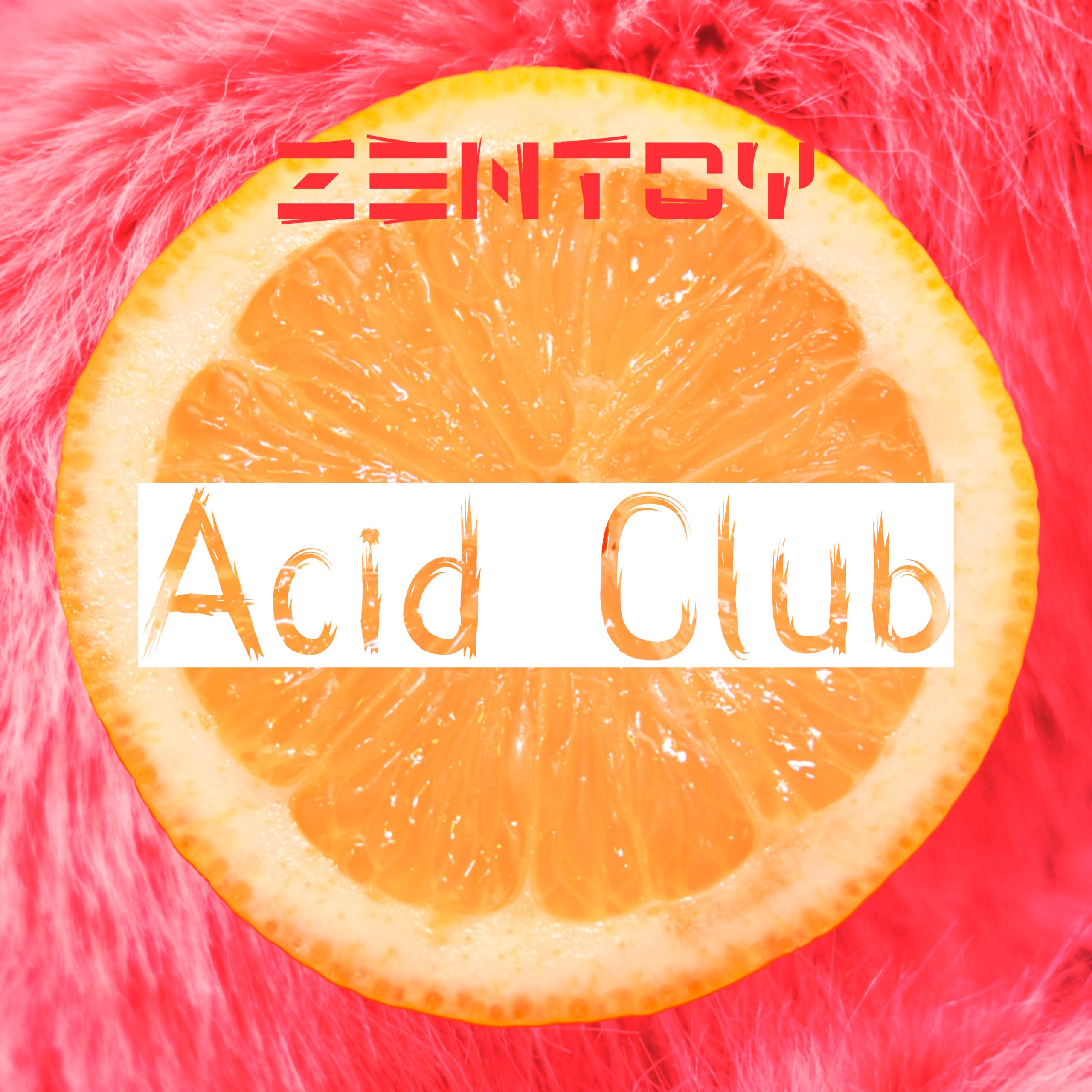 Zentoy - Acid Club